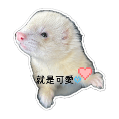 我家有皮蛋