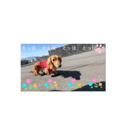 RINA_20250506185410