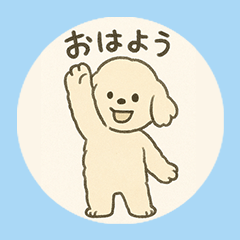 Here Comes Fluffy Dog Nico!