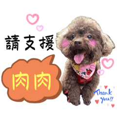歐瑞喔係貴賓