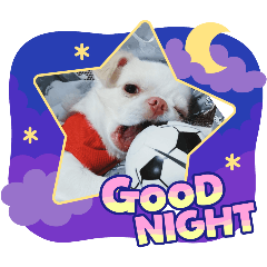 jit_20250507075239
