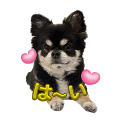 natsu_20250506202313