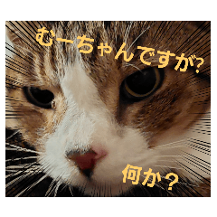 enachan_20250506231904