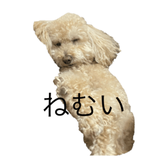AU_20250506233411