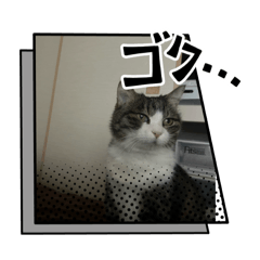 onigiri_20250506233552