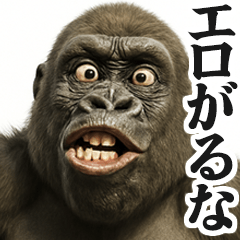 [Super useful] Gorilla