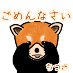 Chiduki's lesser panda
