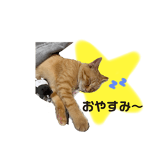 s_20250507000946