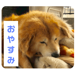 kana_20250506151626