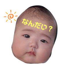 SUZUKI_20250506152134