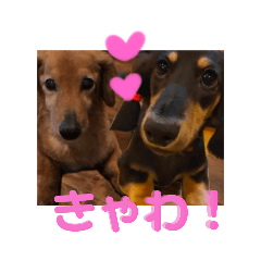 yume_20250507031916