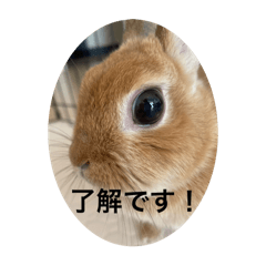masa_20250506182931