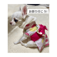 NONO_20250506182230