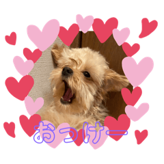 Nanamimi_20250506215326