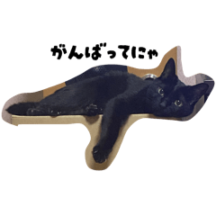 Nyantomo enjoy life 2