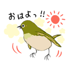 nono_20250507083146