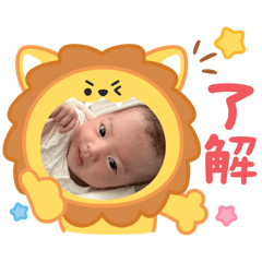 yoshi_20250507085305
