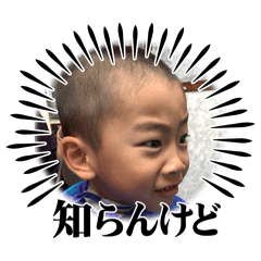 N_20250507092453