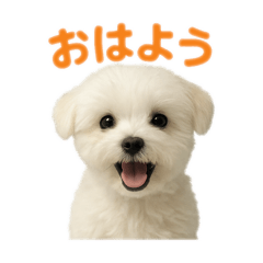 ayaka_20250507110721