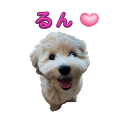 rice cracker_20250506163935