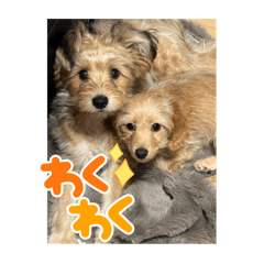 MIREI_20250507102256