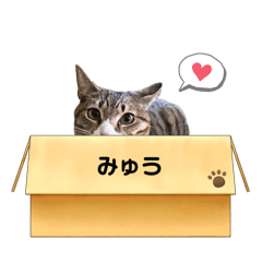 mayu_20250506164217