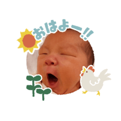 omame_20250506174014
