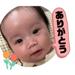 WAKANA_20250506163355