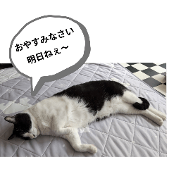 bun_20250506195609