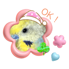 Kaho_20250506200321
