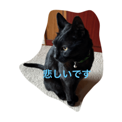 abc_20250506190548