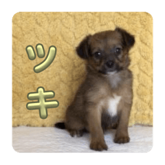Runa_20250506193859