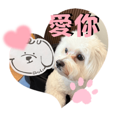 My Lin QQ baby