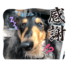 haruto_20250506195043