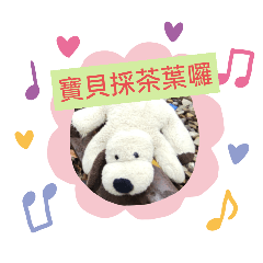寶貝家族系列