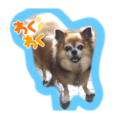 Happy_20250506185833