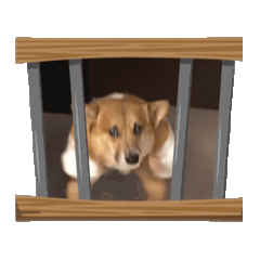 漾漾貼圖2