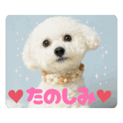 yukki_20250506210446