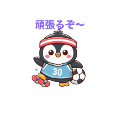 sho_20250506141148