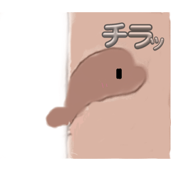 komugi_20250506154723