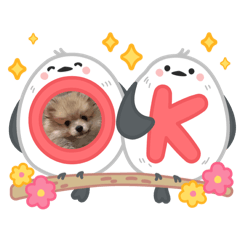 nami_20250506163720