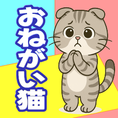 ONEGAINEKO  Pleasecat.