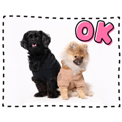 satomo_20250506185854