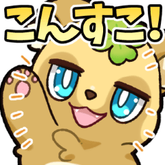 すっこでぃーの毎日元気スタンプ！