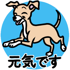(Fawn3)puppy Italian greyhound sticker