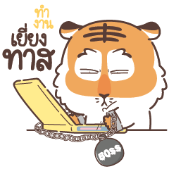 .. Tigar's daily tiring life ..