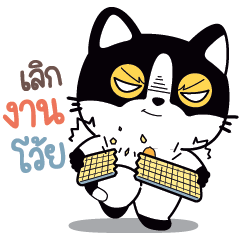 ..แคทสเตอร์ ชีวิตกว่าจะผ่านไปแต่ละวัน..