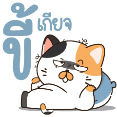 ..แคทช่า ชีวิตกว่าจะผ่านไปได้แต่ละวัน..