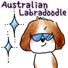 I'm a faithful Australian Labradoodle