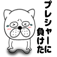 Ugly dog51